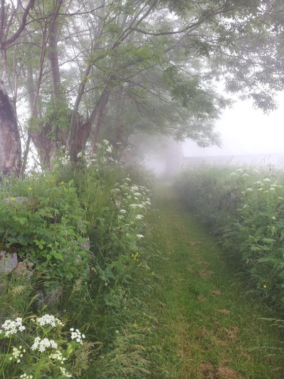Auberge La Bergerie Sainte-Marie-de-Campan Esterno foto